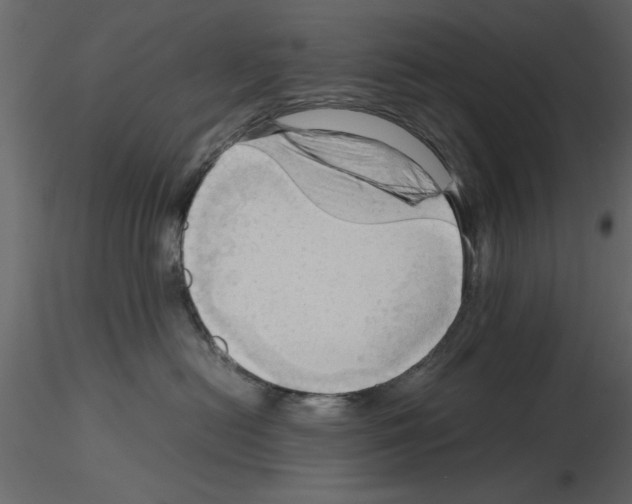 X0000115800478200912241857