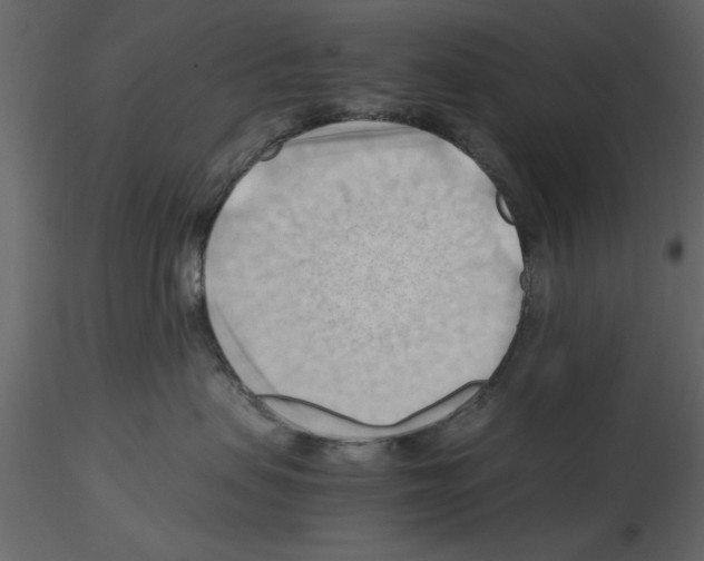 X0000115800479200912241857