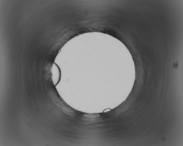 X0000115800480200912241857