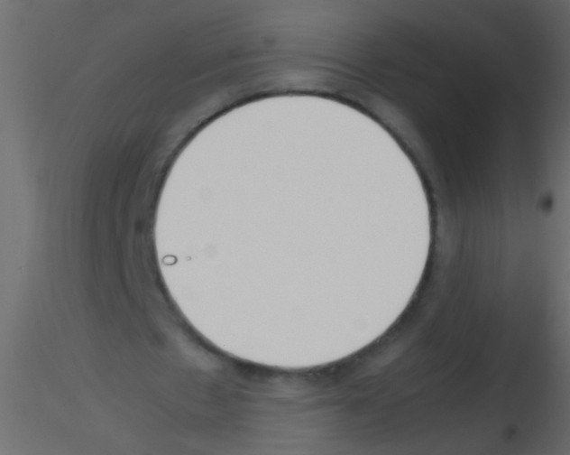 X0000115800481200912241856