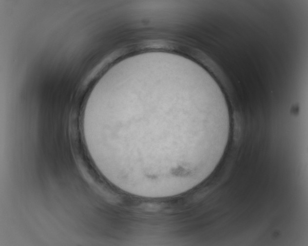 X0000115800482200912241856