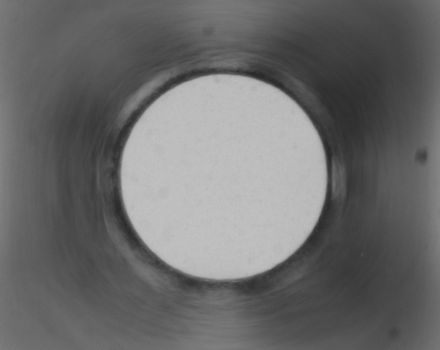 X0000115800483200912241856