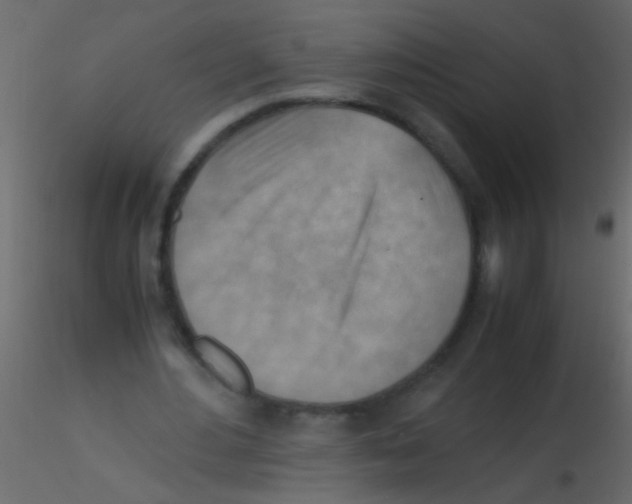 X0000115800484200912241856