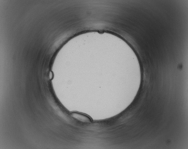 X0000115800485200912241856