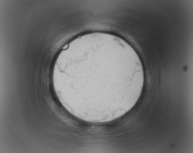 X0000115800487200912241856