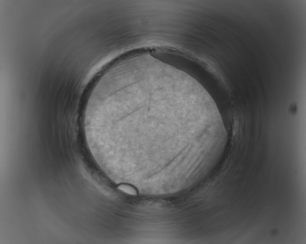 X0000115800488200912241856