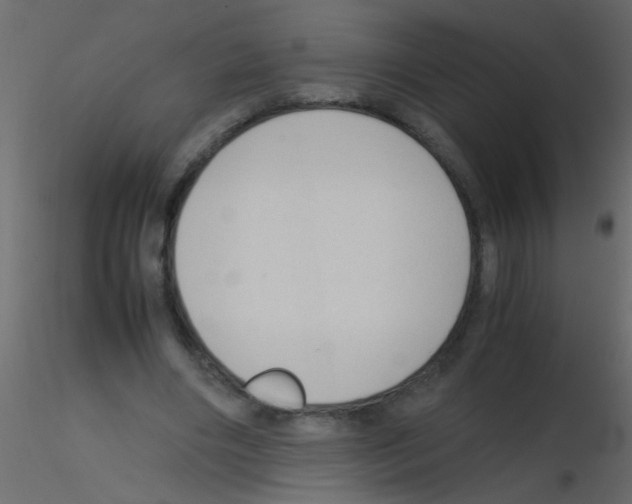 X0000115800490200912241856