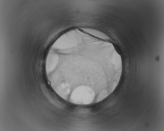 X0000115800491200912241856