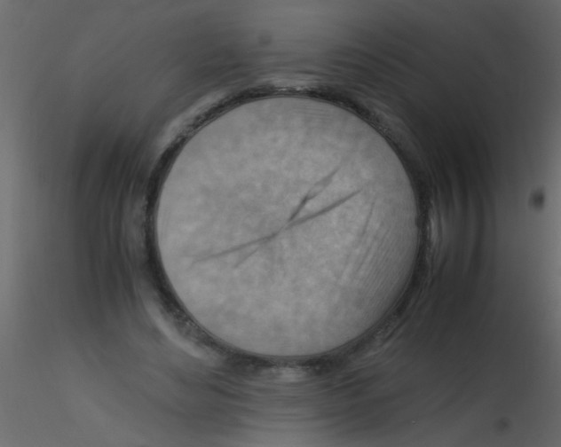 X0000115800492200912241856