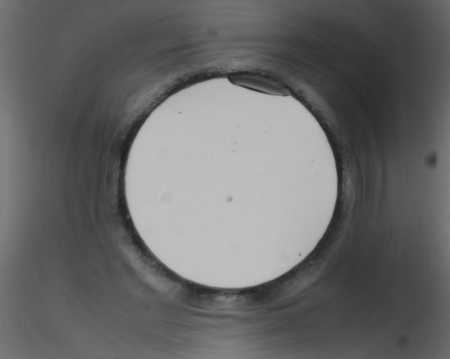 X0000115800493200912241856