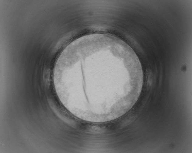 X0000115800494200912241856