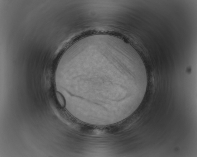 X0000115800496200912241856