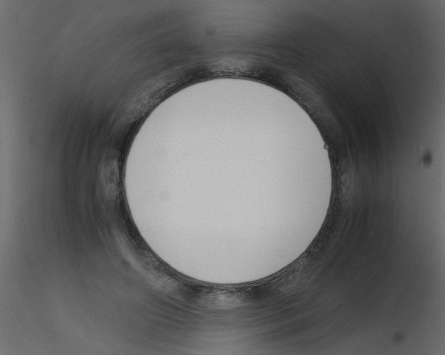 X0000115800498200912241856