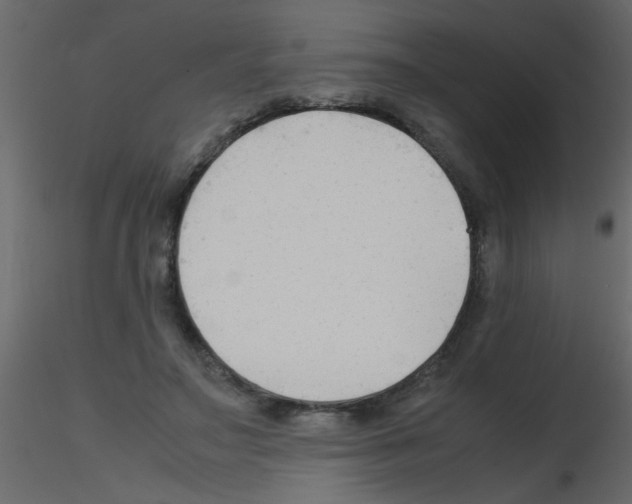 X0000115800499200912241856