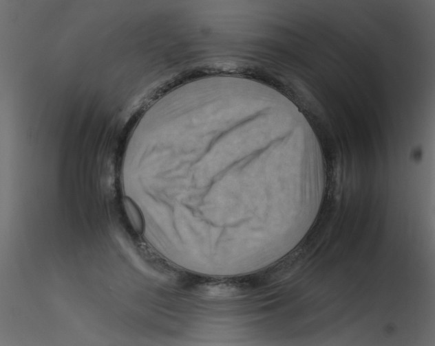 X0000115800500200912241856