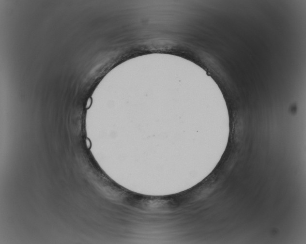 X0000115800501200912241856