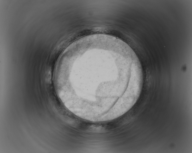 X0000115800502200912241856