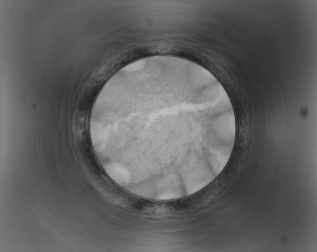 X0000115800503200912241856