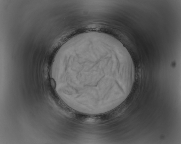 X0000115800504200912241856