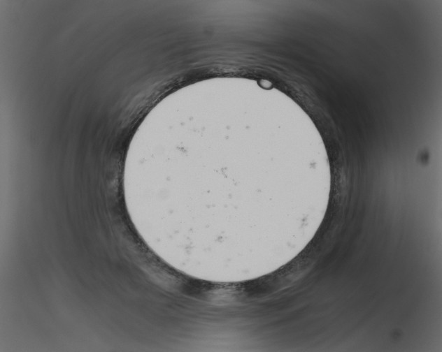 X0000115800505200912241856