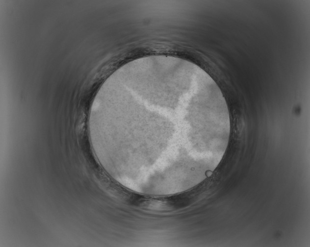 X0000115800507200912241856