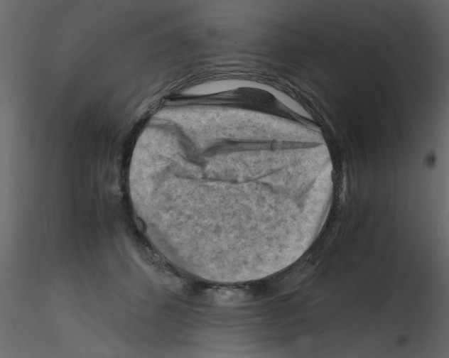 X0000115800512200912241856