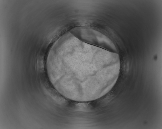 X0000115800516200912241856