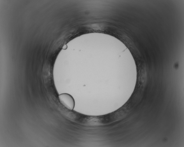 X0000115800518200912241856