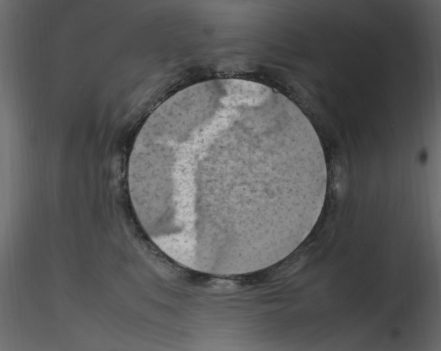 X0000115800519200912241856