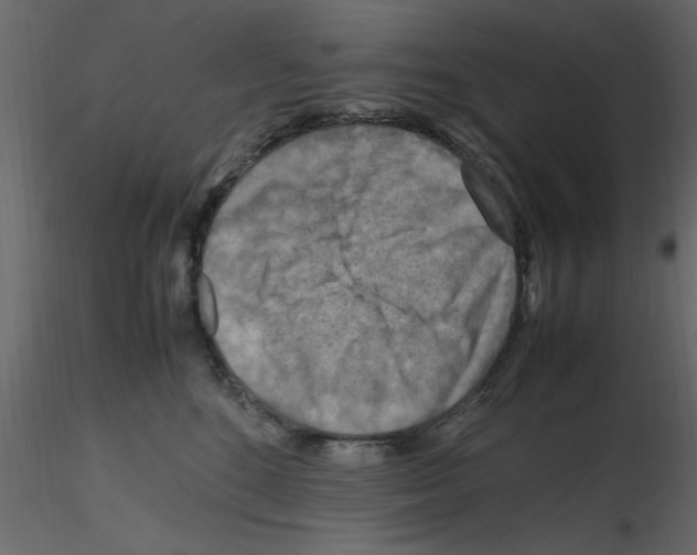 X0000115800520200912241855