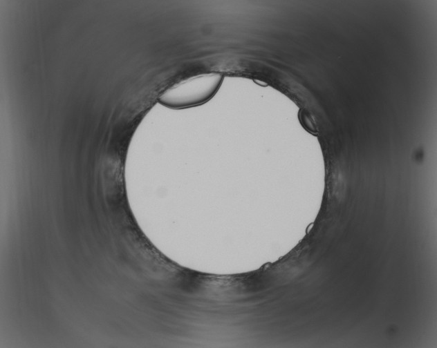 X0000115800521200912241855