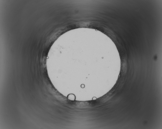 X0000115800525200912241855