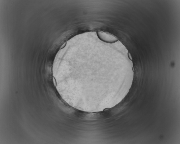 X0000115800527200912241855