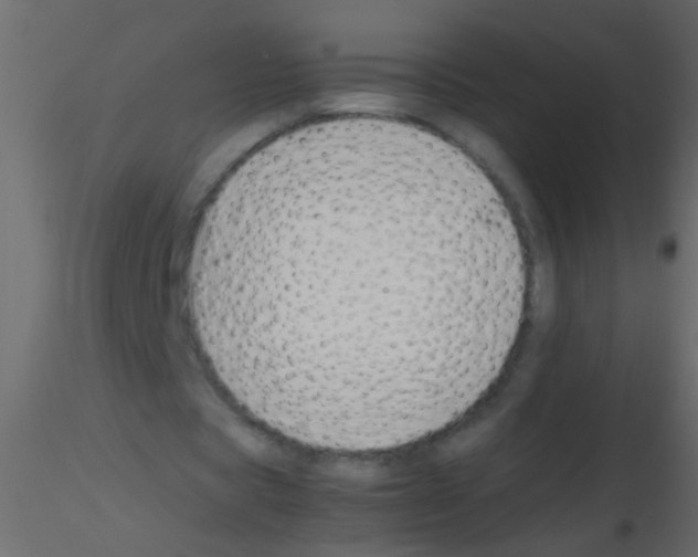 X0000115800529200912241855