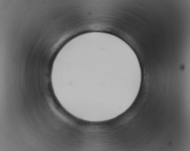 X0000115800530200912241855