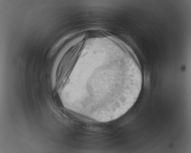 X0000115800531200912241855