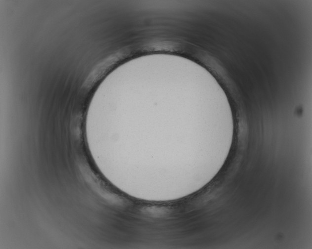 X0000115800537200912241855