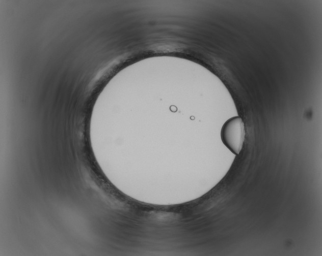 X0000115800539200912241855