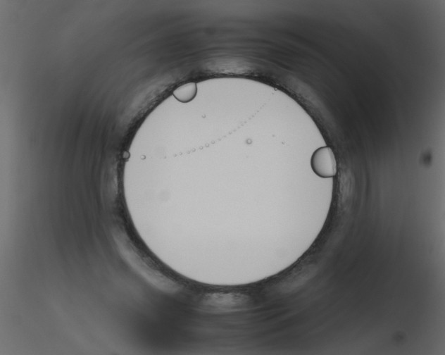 X0000115800541200912241855