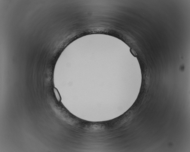 X0000115800546200912241855