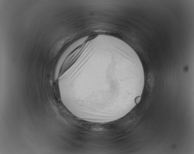 X0000115800547200912241855