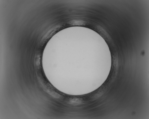 X0000115800549200912241855