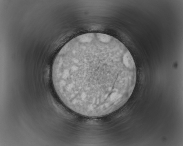 X0000115800550200912241855