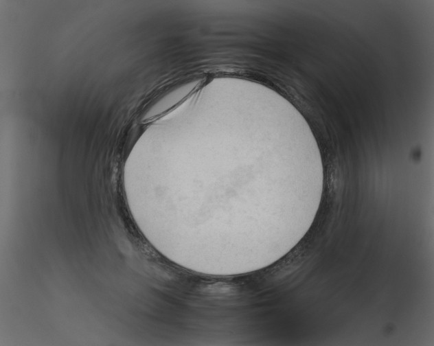 X0000115800551200912241855