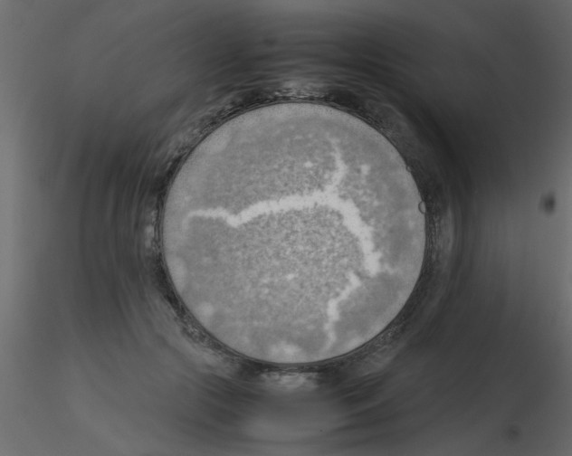 X0000115800553200912241855