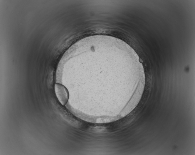 X0000115800554200912241855