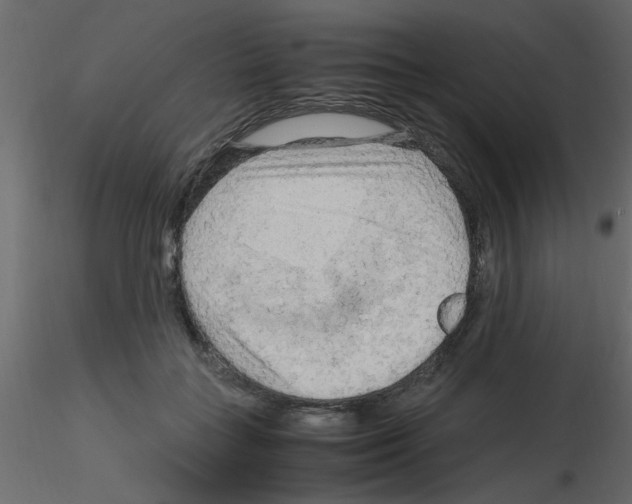 X0000115800555200912241855