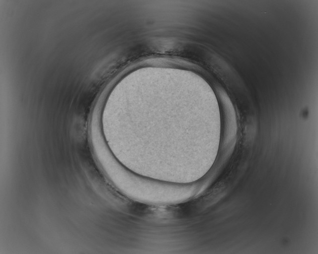 X0000115800558200912241855