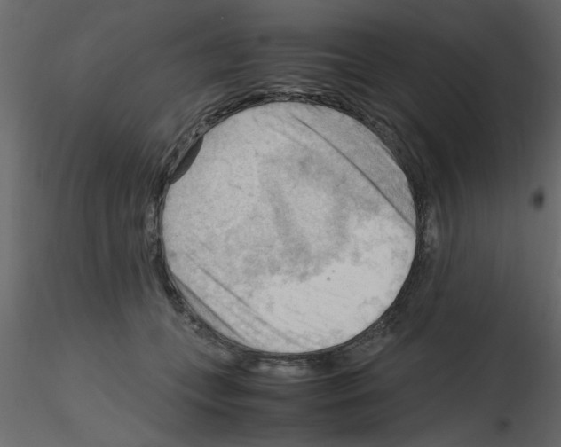 X0000115800559200912241855