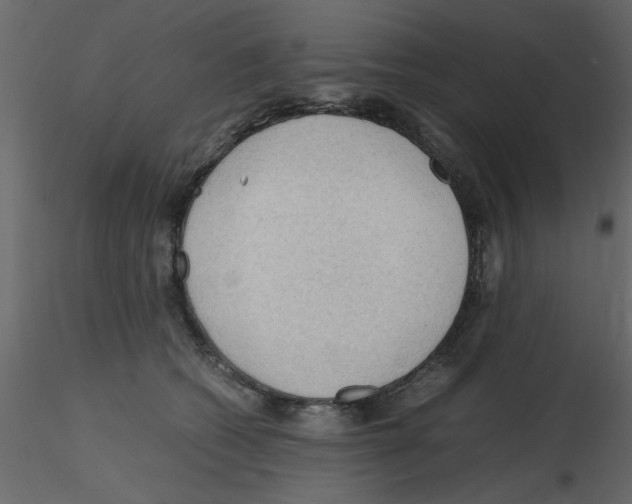 X0000115800562200912241855